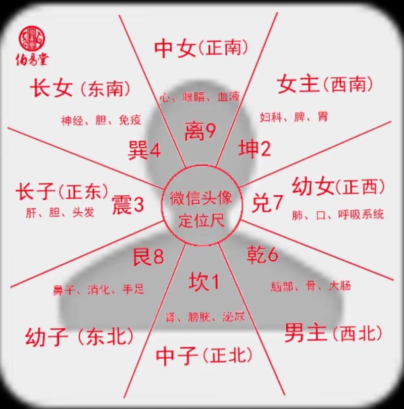 媒体人：京沪战最终30分钟拼的是刺刀见红 岁月不饶人张琳芃老了